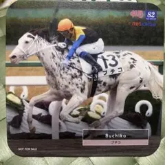 2025年最新】ブチコ 競馬の人気アイテム - メルカリ