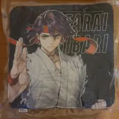 渡会雲雀 クッション カプくじ スト６