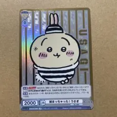 ヴァイスシュヴァルツ ブラウ 捕まっちゃった！ うさぎ SP ちいかわ