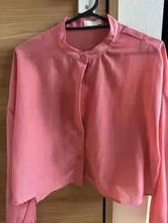 earth music&ecology ピンク 長袖シアーシャツ Fサイズ