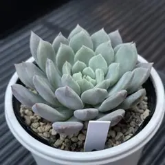 あーさん様 リクエスト 3点 まとめ商品