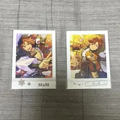 あんさんぶるスターズ 三毛縞斑 ぱしゃこれ