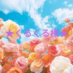 【☆くるくる様☆】