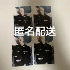 &team MAKI マキ トレカ Back to Life