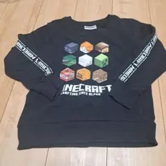 Minecraft　130 トレーナー