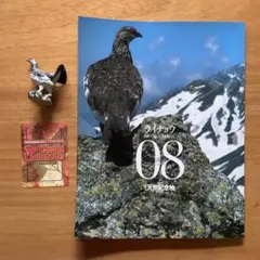 2026年最新】日本の天然記念物 海洋堂の人気アイテム - メルカリ