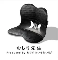 ヒツジのいらない枕 おしり先生 姿勢サポートチェア 耐荷重100kg