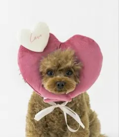 スリーコインズ3COINS　 ハート顔ハメ バレンタイン ペット