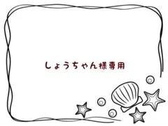 しょうちゃん様専用