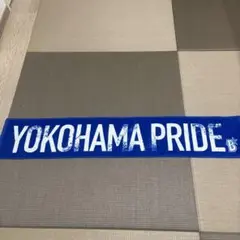横浜DeNAベイスターズ YOKOHAMA PRIDE 応援タオル 9月23日