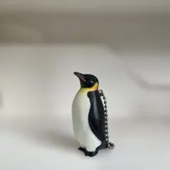 2025年最新】ペンギンクラブの人気アイテム - メルカリ