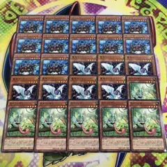 16809 トラブルダイバー 聖鳥クレイン カメンレオン 25枚 字レアノーマル