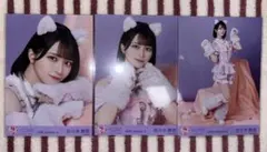 ホ*カ様 佐々木舞香 生写真 封入 猫衣装 7周年 - メルカリ
