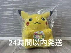 ポケットモンスター ポケモン30周年記念 おかえり！ピカチュウ1/1