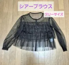 新品未使用♡Ada.エイダ♡チュールティアードブラウス♡フリーサイズ♡ブラウンのサムネイル