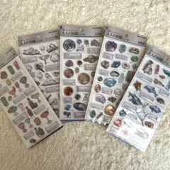 大人の図鑑シール 3D 天体編 シマエナガ編 海洋生物編 カクテル編 鉱物編