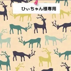 ひぃちゃん様専用