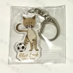 ブルーロック 黒ねこ意匠 アクリルチャーム ナルハヤ猫 成早 朝日