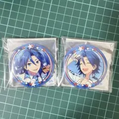 HiMERU あんスタ 缶バッジ マトリックス EXTRA 開花前後 20点 - メルカリ