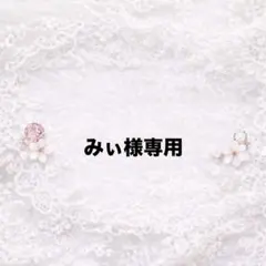 みぃ様専用ページ