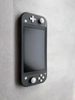 Nintendo Switch Lite グレー 本体