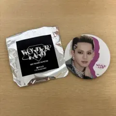 TREASURE FAN MEETING Wonderland バッジ