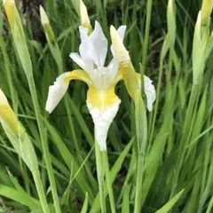 arukas0525様 リクエスト 2点 まとめ商品