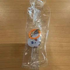 Treasure TRUZ ガチャガチャ めじるしチャーム BONBON