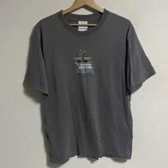 90s 00s 銀タグ NIKE ACG ナイキ Tシャツ M