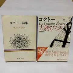 コクトー詩集 ジャン・コクトー著 堀口大學訳　テスト氏　澁澤龍彦訳