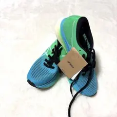 Item thumbnail for item f643e83d-7628-4d0f-8f0c-8dfeeee3b66c