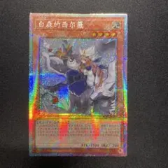 遊戯王　白き森のシルヴィ　アジア版　中国語簡体字　プリズマ アジア】遊戯王 白き森のシルヴィ プリズマ 3枚 中国語版 海外 - メルカリ