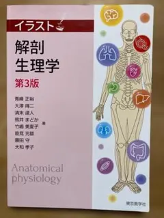 解剖生理 健康・医学