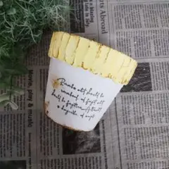 730☆Heart CUP❤︎ひまわり モルタル雑貨 （お任せ植物付き） - メルカリ