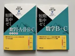 2026年最新】東進 数学 テキストの人気アイテム - メルカリ