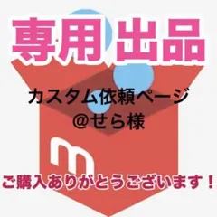 カスタムトミカ オーダー ご相談用ページ 緊急車両 改造 - メルカリ