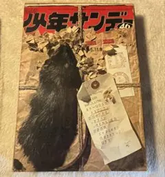 少年サンデー　1980年秋の増刊号 　高橋留美子　 あだち充 少年サンデー 1980年秋の増刊号 高橋留美子 あだち充 - メルカリ