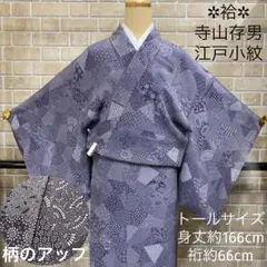 【着物と帯 時流】K25350◆正絹 江戸小紋◆ふくよかサイズ 寺山存男 未使用 銀座【C-1996】（広め）寺山存男作 繍一ッ紋 江戸小紋 宗伝唐