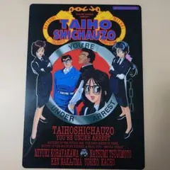 【抽プレ】逮捕しちゃうぞ 非売品 通知書 トレカ 抽プレ】逮捕しちゃうぞ 非売品 通知書 トレカ 2025年最新】逮捕