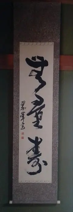 掛軸 奥田寛翠 椿 花鳥図 共箱 画賛 茶掛 茶道具 茶の湯 1-13 茶道具 掛軸（かけじく） 絵短冊小幅 軸一行 五月 橘に水鳥 伊藤 直