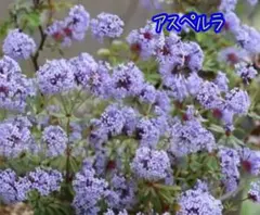 ミュー様 リクエスト 2点 まとめ商品