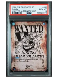 2025年最新】バギー 手配書 psa10の人気アイテム - メルカリ