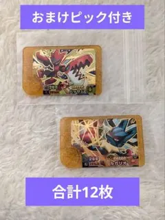 【昨日排出】 ポケモンフレンダ　ベストタッグ5弾　ハッサム　ルカリオ　レガシー