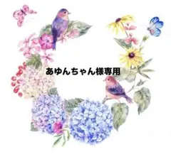 あゆんちゃん様専用♡