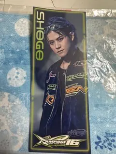 岩谷翔吾 BIG 千社札 ステッカー 16 居酒屋えぐざいる