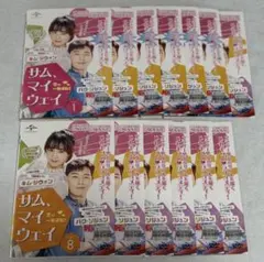 サム、マイウェイ 恋の一発逆転! DVD 全13巻 全巻セット 韓国ドラマ