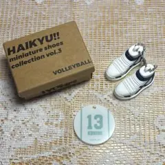 ハイキュー!! ミニチュアシューズコレクション　 国見英