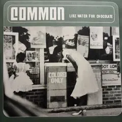 Common Like Water For Chocolate CD