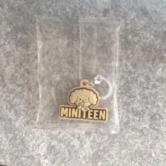miniteen ドギョム めじるしアクセサリー