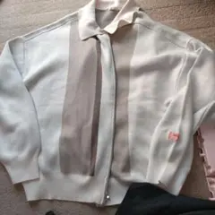 Item thumbnail for item 72a17585-42f8-43b9-81c6-570ffa401e23